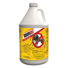 Picture of DominAnt Liquid Ant Bait (4 x 1-gal. bottle)