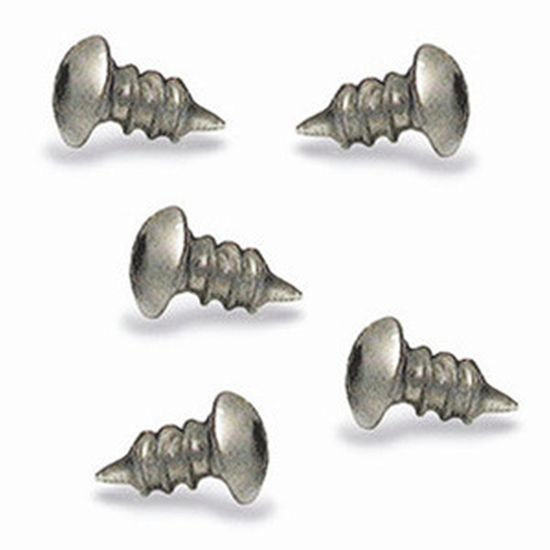 Picture of Strongbox Galvanized Steel Tamper-Resistant Bait Station Screws (100 count)
