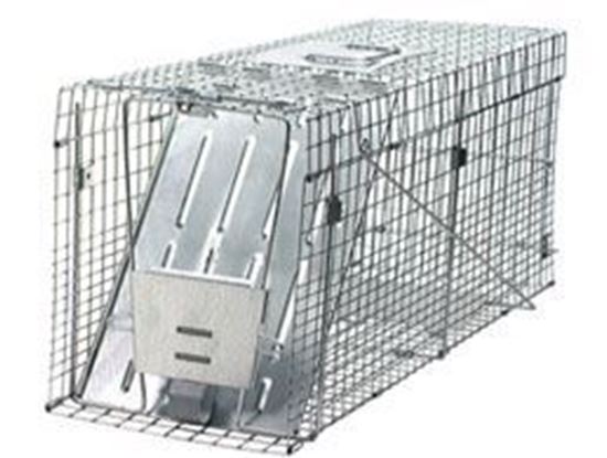 Picture of Havahart Trap #1089 (32x10.5x12.5)