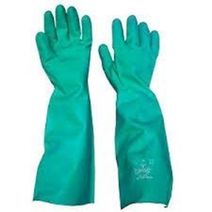 Picture of Gloves,Nitrile Elbow Length