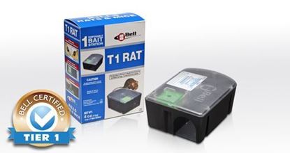 Picture of T1 Rat (8 count)