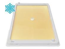 Picture of Catchmaster 48WRG Glue Tray with Cold Weather Polar Bear Glue - White (24 x 2 count)