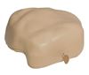 Picture of Rodent Rock Bait Station - Sandstone