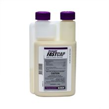 Picture of Onslaught FastCap Spider and Scorpion Insecticide (1-pt. bottle)