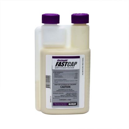 Picture of Onslaught FastCap Spider and Scorpion Insecticide (1-pt. bottle)