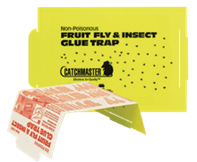 Picture of Catchmaster 100FF Fruit Fly Glue Board (100 count)