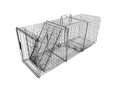 Picture of Tomahawk Pro Raccoon Trap with One Trap Door (32-in. x 10-in. x 12-in.)