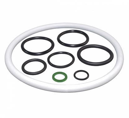 Picture of Birchmeier Gasket Set Pump and Tank Repair Kit