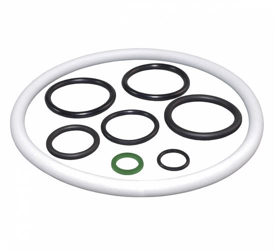 Picture of Birchmeier Gasket Set Pump and Tank Repair Kit