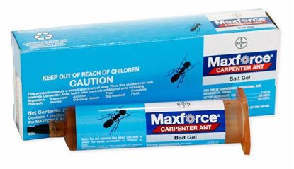 Picture of Maxforce Carpenter Ant Bait Gel