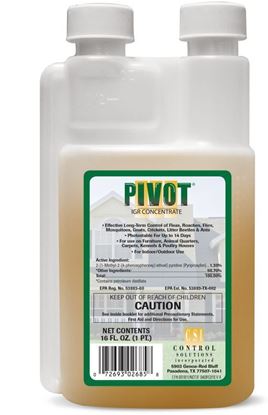 Picture of PIvot