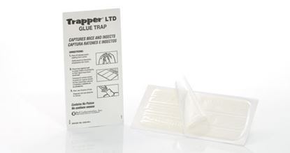 Picture of TRAPPER LTD