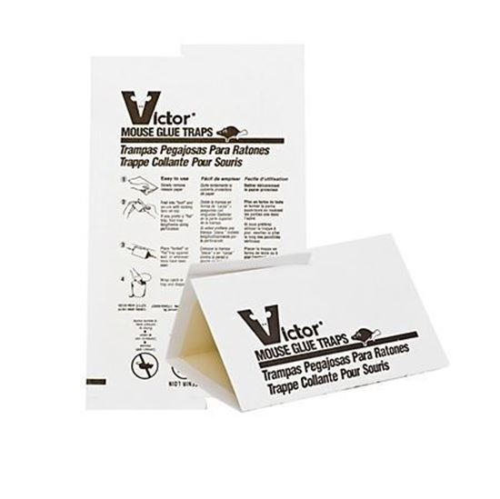 Victor Hold-Fast Disposable Mouse Glue Traps