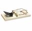 Picture of Catchmaster 610PE Rat Snap Trap