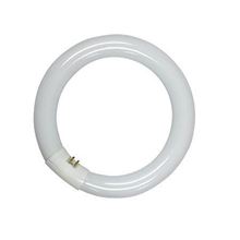 Picture of Synergetic Circline Bulb - 22 watt (1 count)