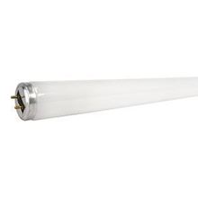 Picture of Gilbert F40/T12 Bulb - 40 watt, 48-in. - Shatterproof (1 count)