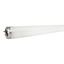 Picture of Sylvania F15/T8/350BL Bulb - 15 watt, 18 -in.
