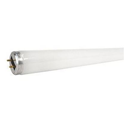 Picture of Gilbert F25/T8/BL350 Bulb - 25 watt, 18 in.