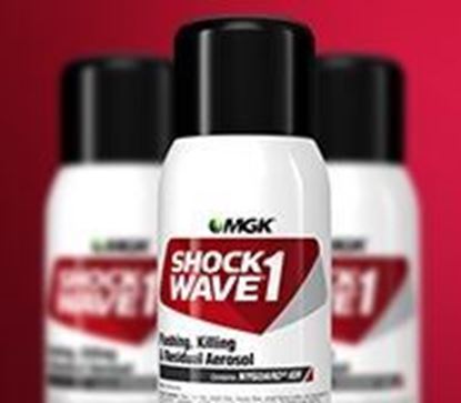 Picture of Shockwave 1 Aerosol