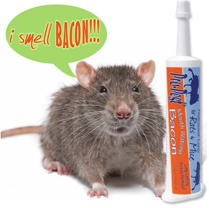 Picture of Pro-Pest Rat & Mouse Lure Bacon (32cc syringe)