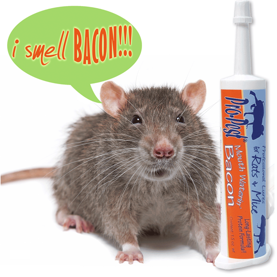 Oldham Chemical Company. Pro-Pest Rat & Mouse Lure Bacon (32cc syringe)