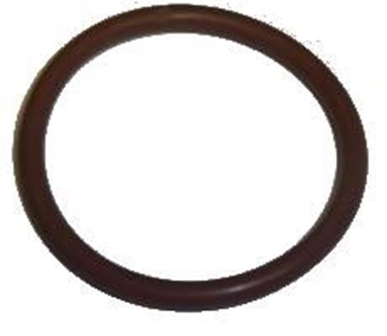 Picture of Actisol O-Ring for Tank Cap