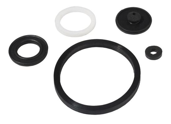 Picture of B&G AccuSpray Pump Repair Kit