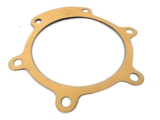 Picture of 9910-D30 Series Diaphragm Pump - Gear Reduction Gasket