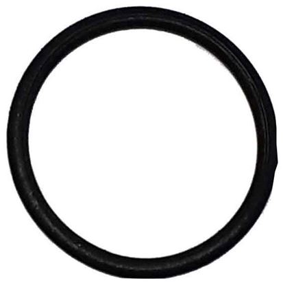 Picture of 9910-D30/D50 Series Diaphragm Pump - Gasket Seal O Ring