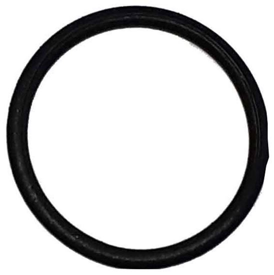 Picture of 9910-D30/D50 Series Diaphragm Pump - Gasket Seal O Ring