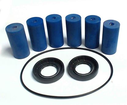 Picture of 1700 Series 5 Roller Pump - Repair Kit