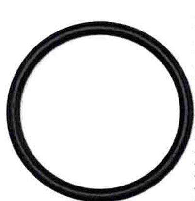 Picture of 5200/5300 Series Piston Pump - Check Valve O Ring