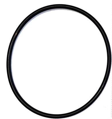 Picture of 5200 Series Piston Pump - Head O Ring