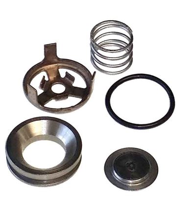 Picture of 5200 Series Piston Pump - Valve Kit
