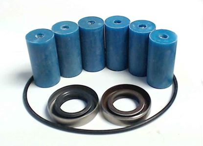 Picture of 1502 Series 6 Roller Pump - Repair Kit (Standard)