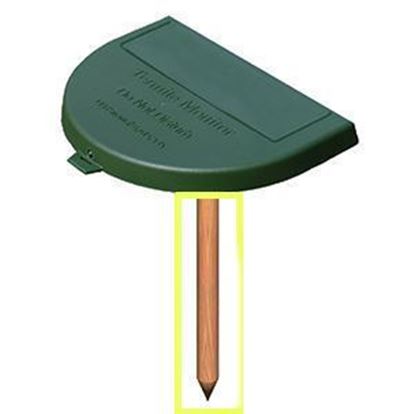 Picture of B&G TM-1 Termite Monitor - Stake (90 count)