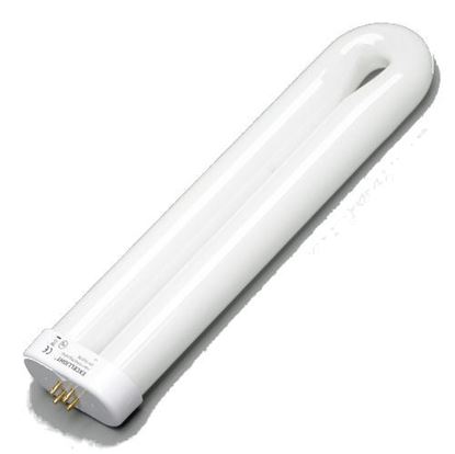 Picture of PestWest Tightbend Bulb - 25 watt