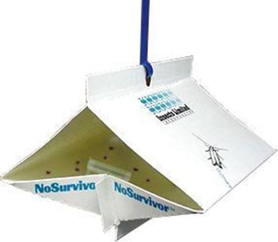 Picture of NoSurvivor Traps for Warehouse and Khapra Beetles (10 count)