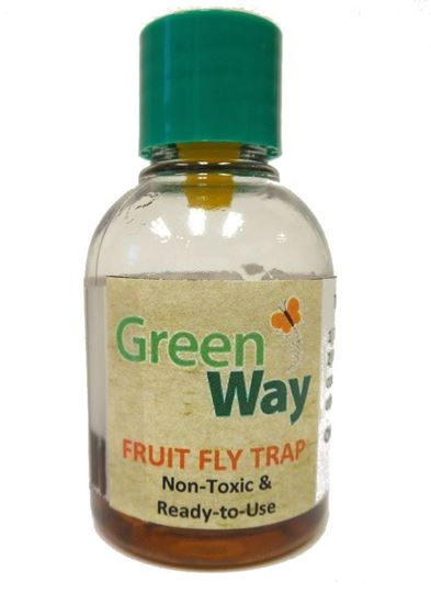 Picture of Green Way Fruit Fly Trap