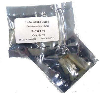 https://www.oldhamchem.com/content/images/thumbs/0007115_insects-limited-hide-beetle-lure-10-count_415.jpeg