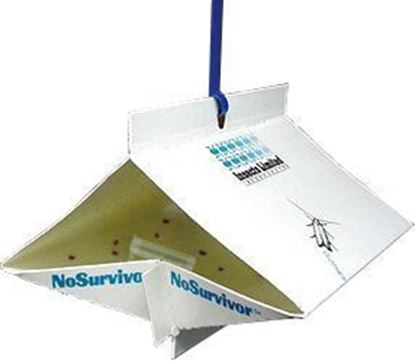 Picture of NoSurvivor Traps for Meal Moths (10 count)