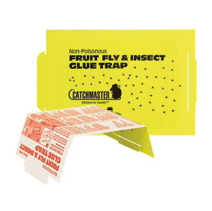 Picture of Catchmaster 100FF Fruit Fly Glue Board