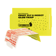 Picture of Catchmaster 100FF Fruit Fly Glue Board (1 count)