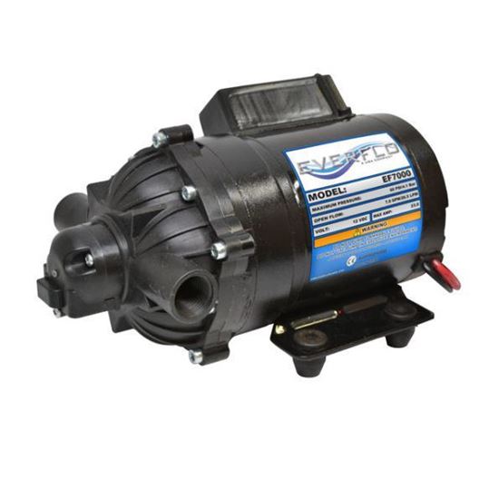 Picture of Everflo EF7000 Diaphragm Pump