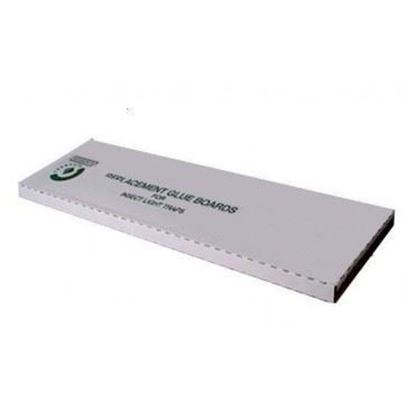 Picture of Gardner EL-59 Glueboards - 5 in. x 22 in.