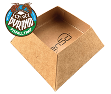 Picture of SenSci Pyramid Pitfall Trap (6 x 24 count)