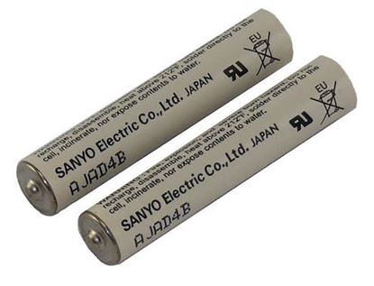 Picture of GPI 113520-1 Battery Kit 3V Lithium