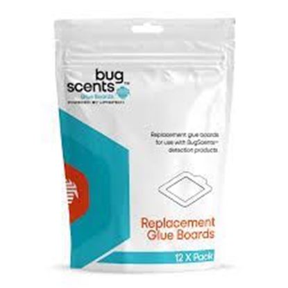 Picture of Bed Bug Repl Glueboard 25X12Pk